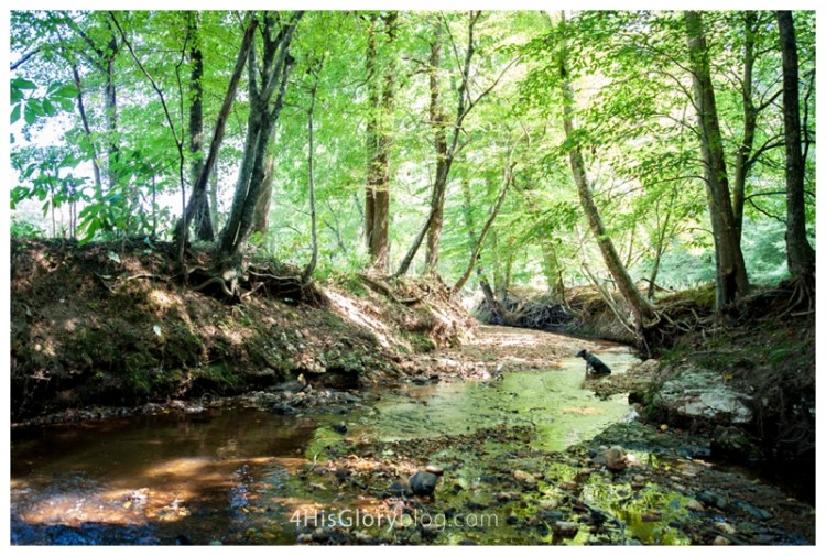 danville-va-landscape-photographer-5