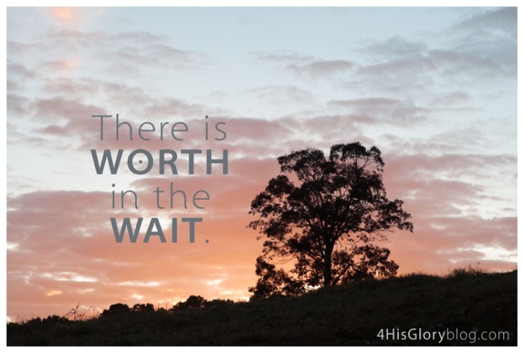 worth-in-the-wait-danville-landscape-photographer