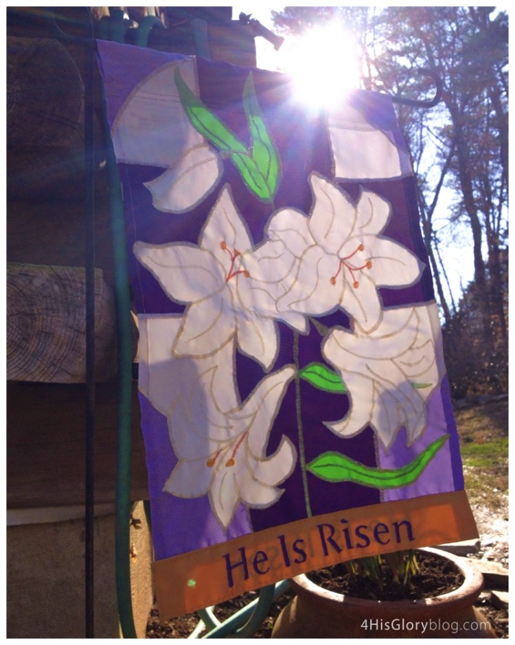 danville-va-portrait-photographer_0007