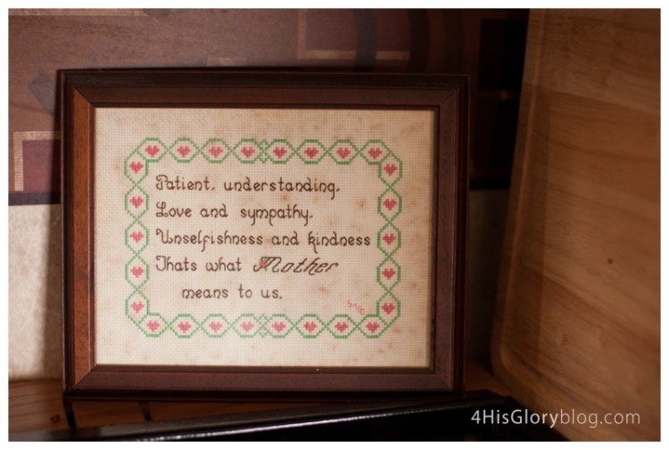 danville-va-lifestyle-photographer_0005