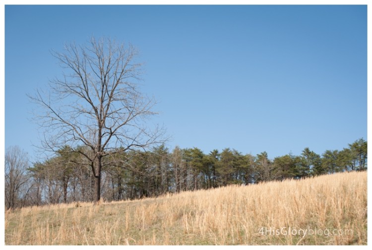 danville-va-portrait-photographer_0006