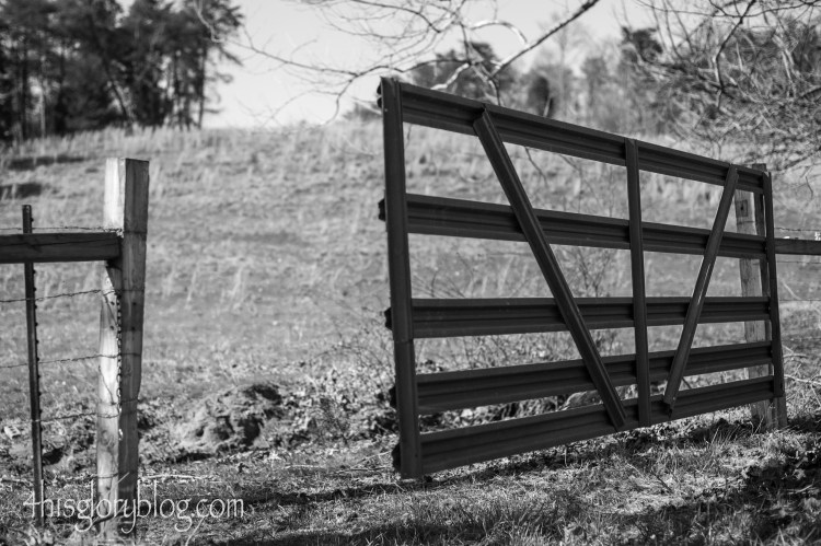 Danville-Va-Landscape-Photographer