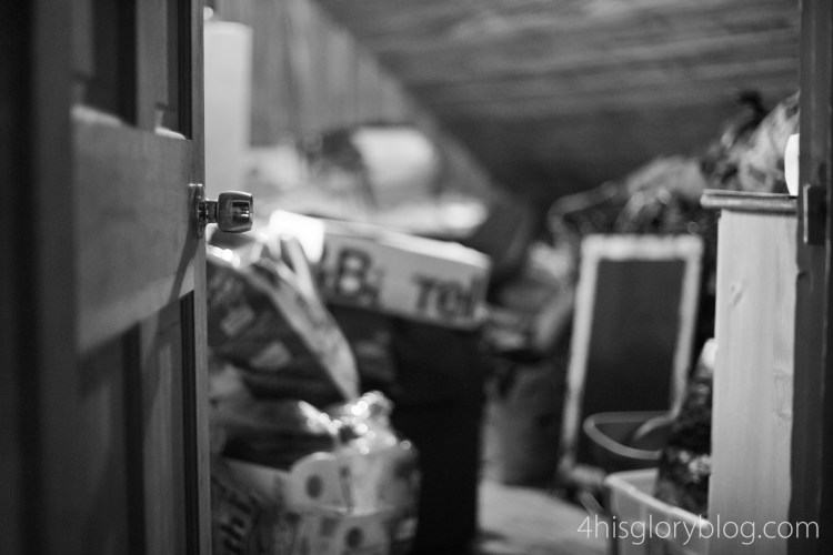 danville-va-lifestyle-photographer